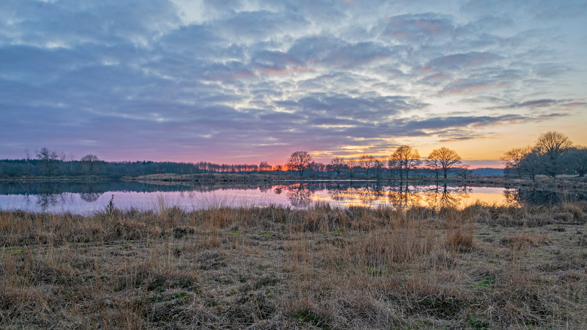 landschap