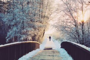 man, bridge, lonely-1156619.jpg